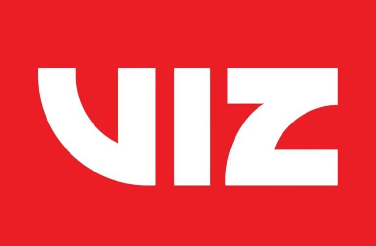 Viz Logo2