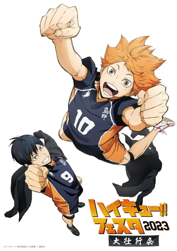 HAIKYUU!! FINAL Teaser Visual : r/anime