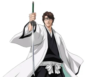 Aizen's shikai