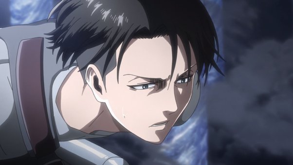 levi-hair