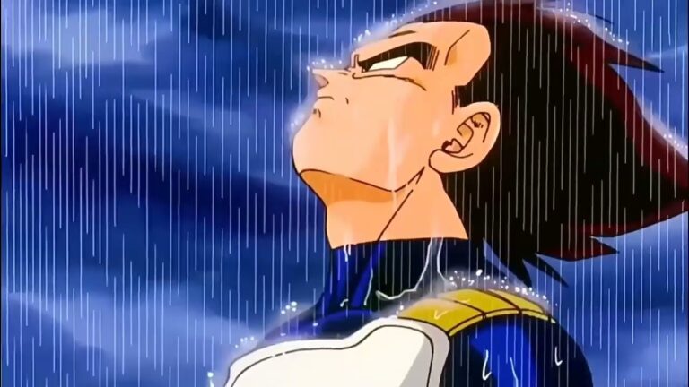 Vegeta Rain