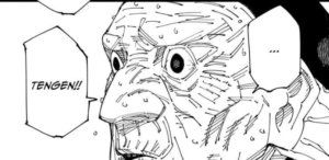new shadow jujutsu kaisen