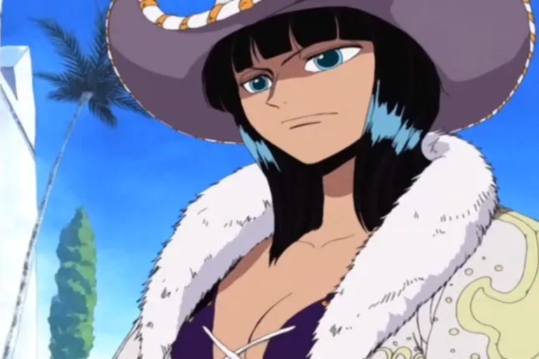 one piece 1131 robin