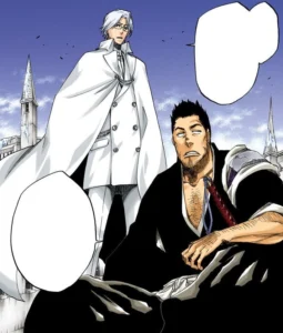 isshin ryuken bleach tybw 674