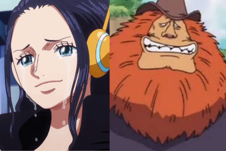 robin and saul reunion one piece