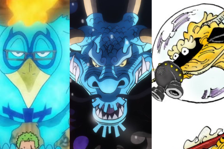 marco kaido qilingham one piece